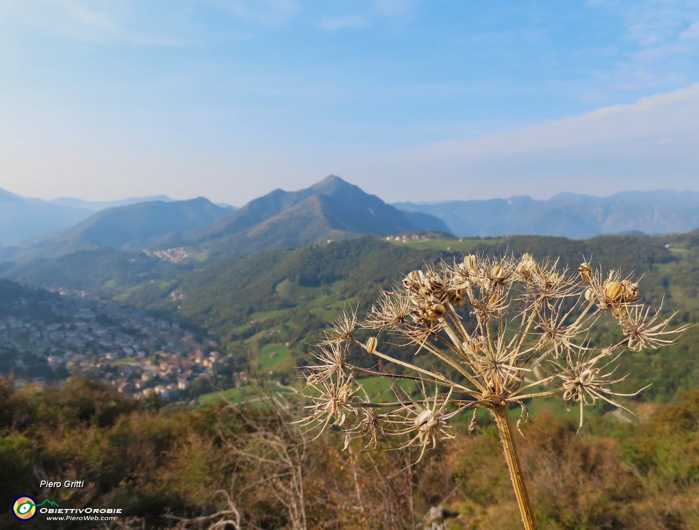 19 Heracleum sphondylium (Panace) con vista verso il Monte Gioco.JPG